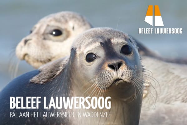 We willen beleven en ervaren. Voorbeeld: Lauwersoog