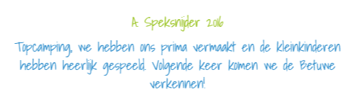 Voorbeeld testimonial