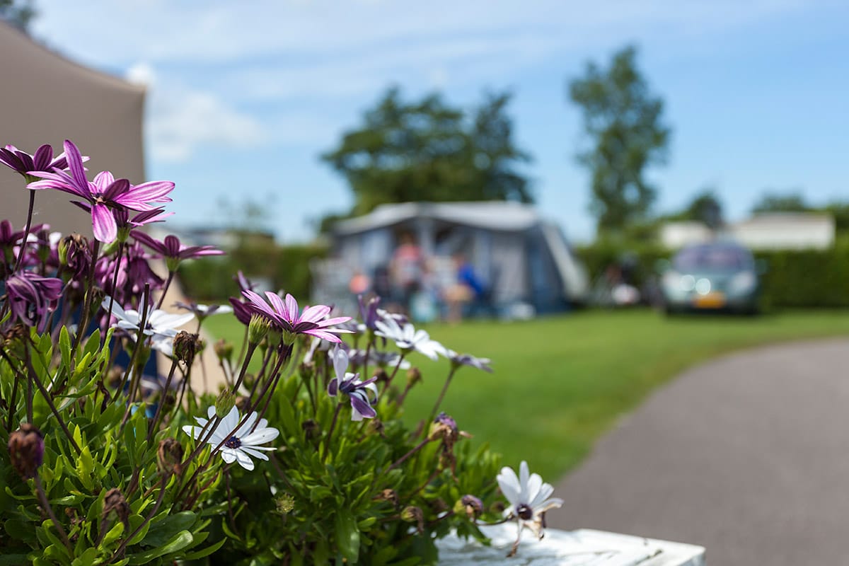 Recreatie fotografie