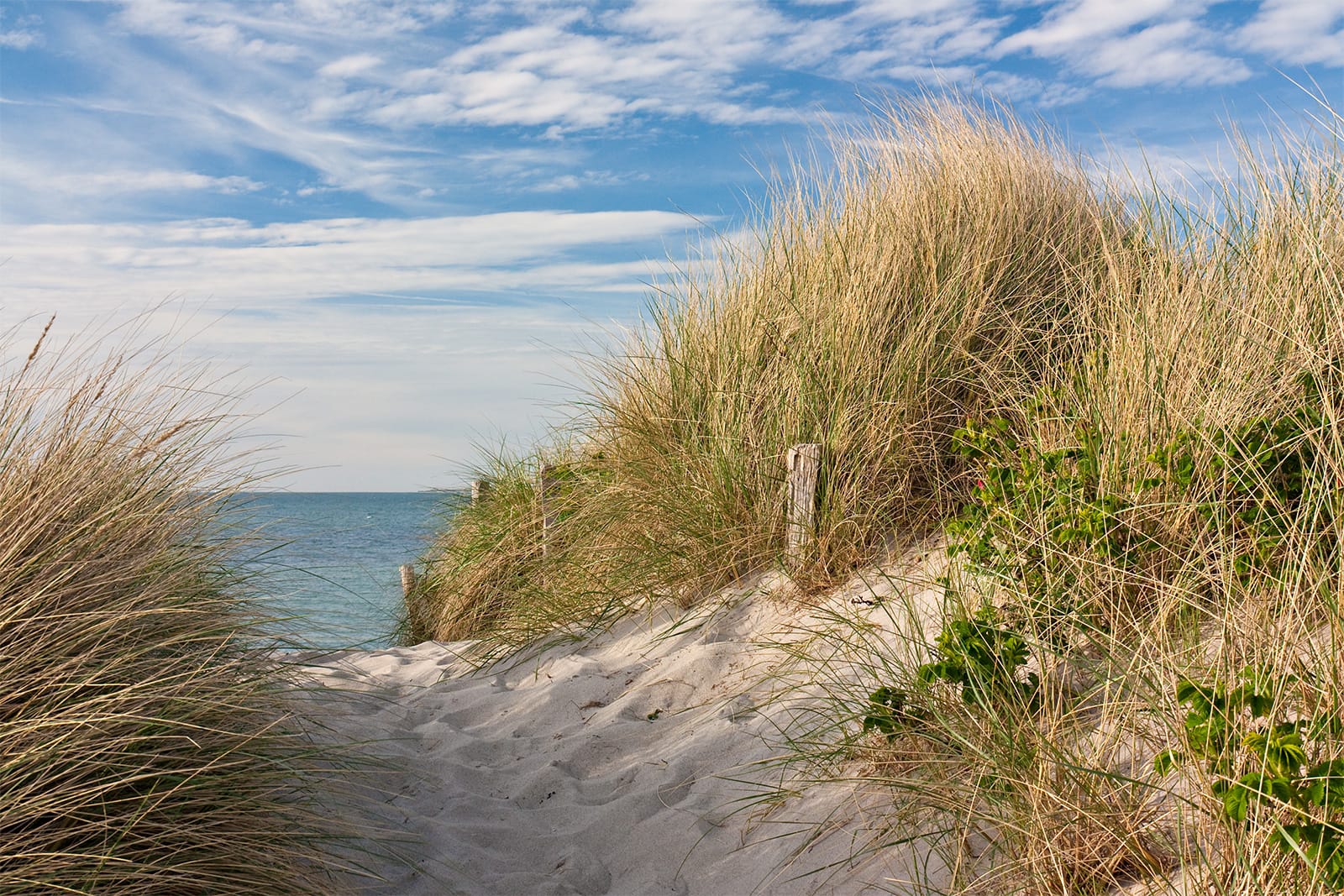 Strandpark De Zeeuwse Kust